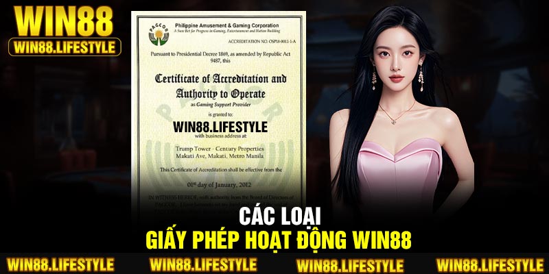 Các loại giấy phép hoạt động Win88