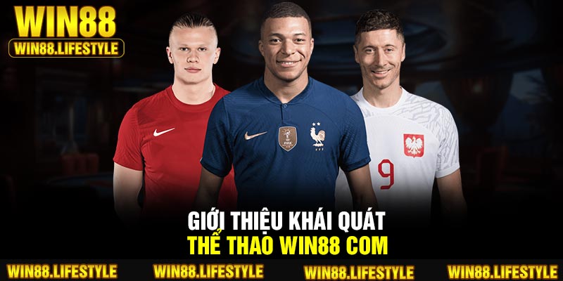 Giới thiệu khái quát Thể Thao Win88 com