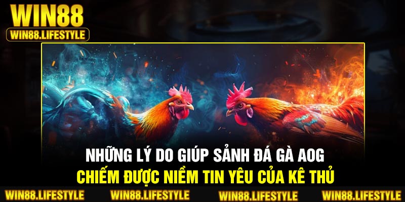 Những lý do giúp sảnh đá gà AOG chiếm được niềm tin yêu của kê thủ