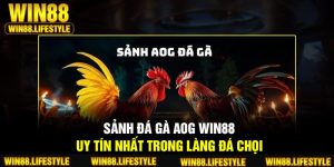 Sảnh đá gà AOG Win88 uy tín nhất trong làng đá chọi