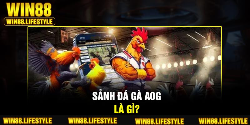 Sảnh đá gà AOG là gì?