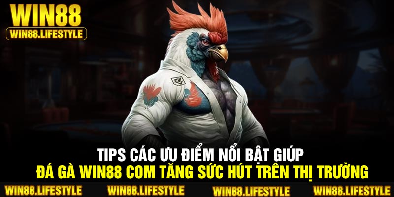 Tips các ưu điểm nổi bật giúp đá gà Win88 com tăng sức hút trên thị trường