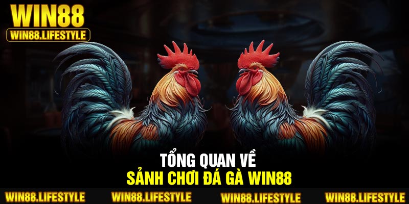 Tổng quan về sảnh chơi đá gà Win88